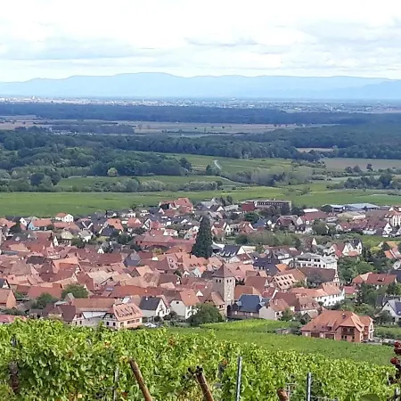 Gite Premium, Au Coeur De L'Ours Dambach-la-Ville Exterior photo