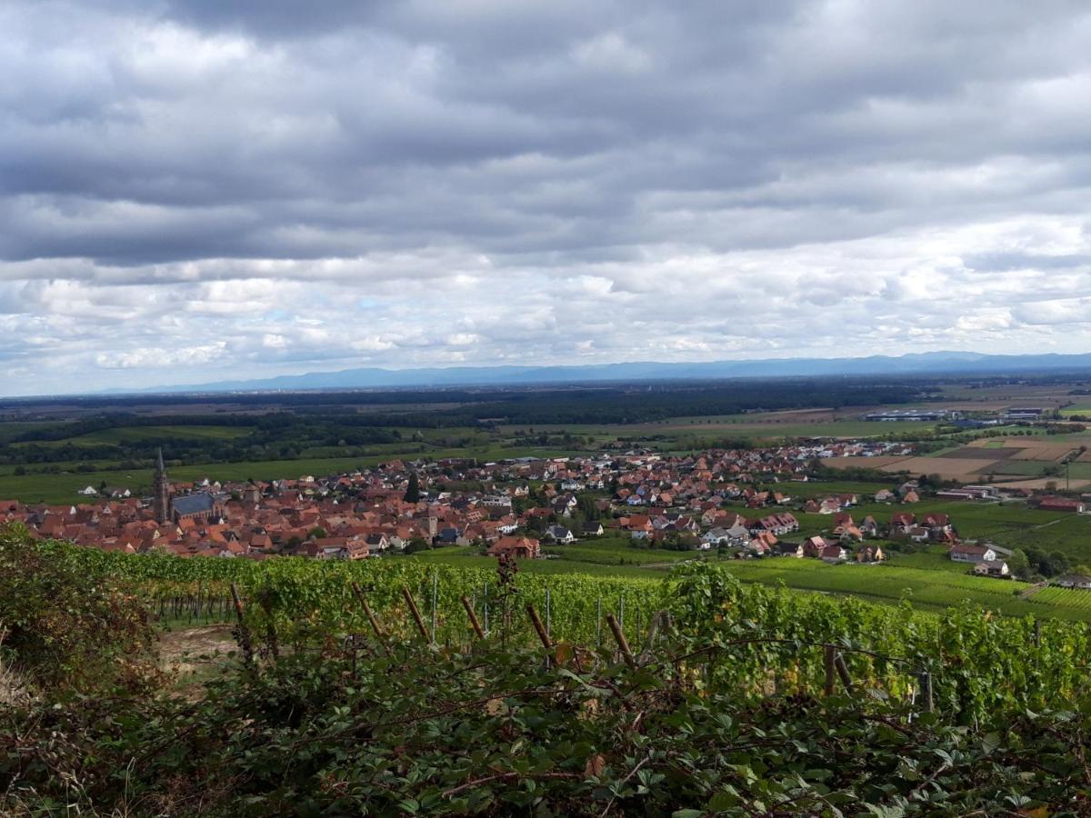 Premium, Au Coeur De L'ours * Dambach-la-Ville